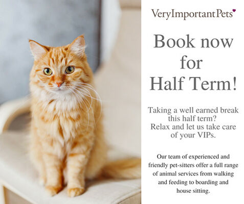 Vip very important 2024 pets