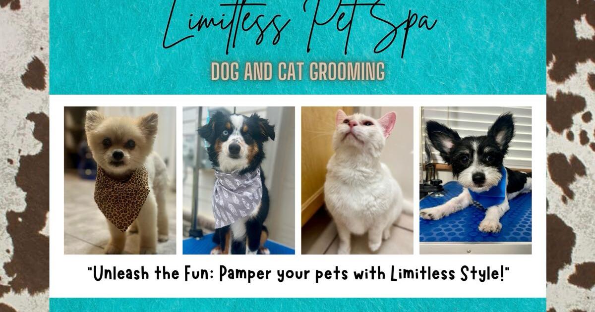 Exquisite Dog Groomers Granbury Texas Moment Concept Exquisite Dog Groomers Granbury Texas Moment Concept