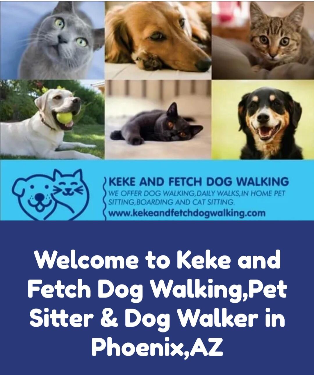 Fetch fashion dog walker