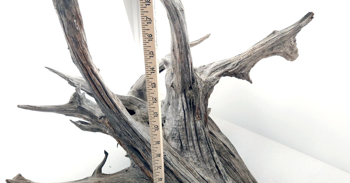 large piece of Driftwood for 45 in Fort Worth, TX For Sale & Free