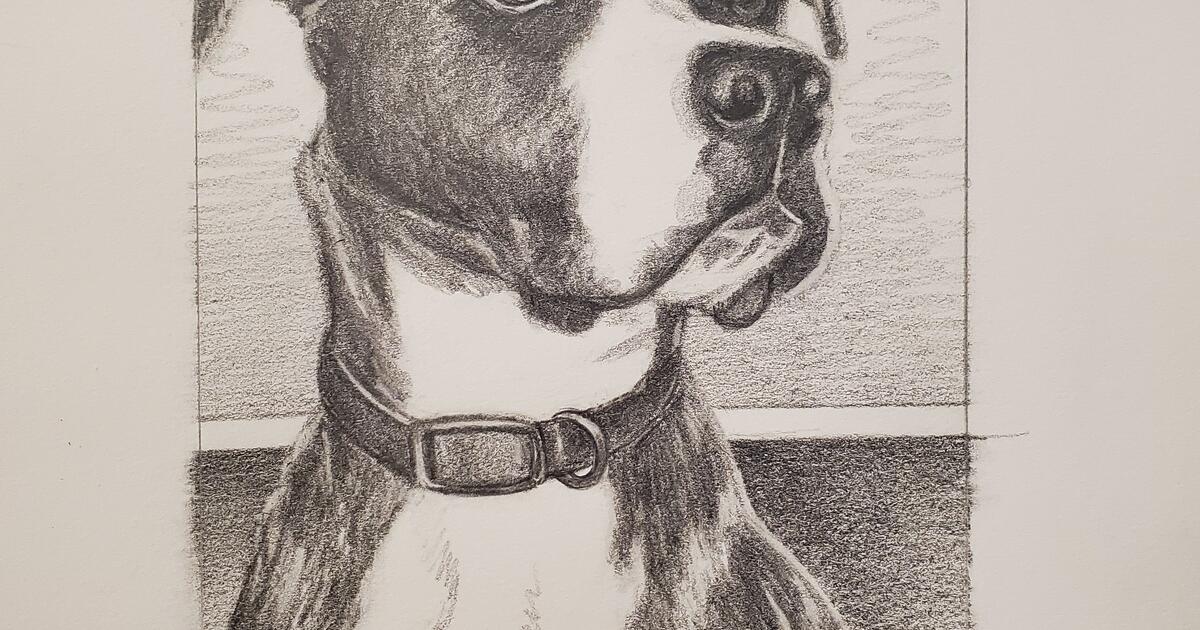 Pet Handdrawn Portraits ♡ for 35 in Palm Harbor, FL Finds — Nextdoor
