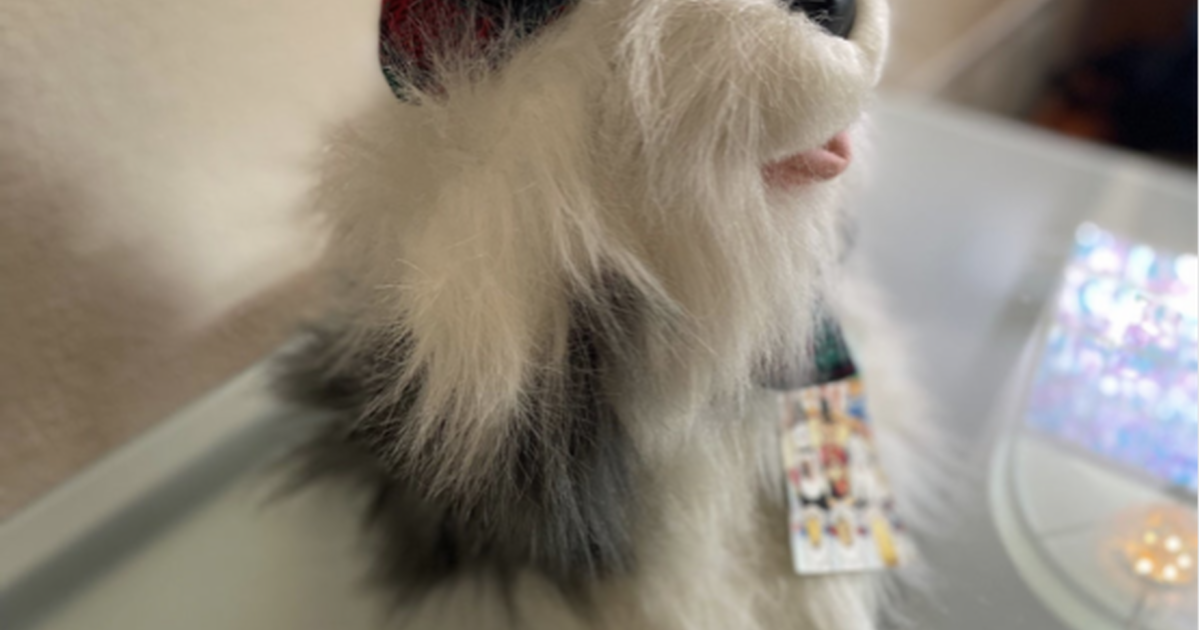 A Brand New With Tags Really Adorable Dog Stuffed Animal for 8 in