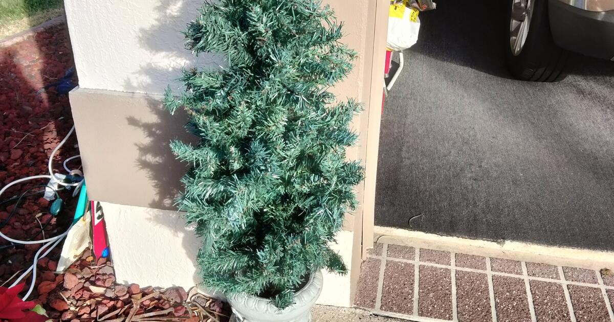 Christmas Trees In Pots for 15 in The Villages, FL For Sale & Free