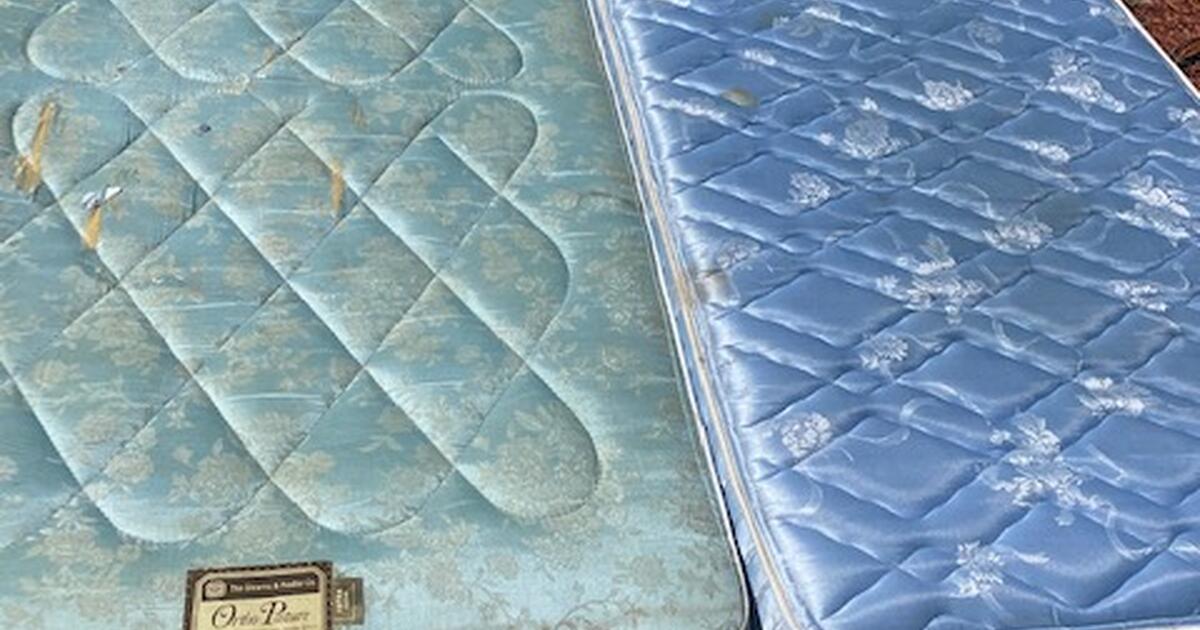 two Twin Mattresses and one platform bed frame for Free in Cape Coral