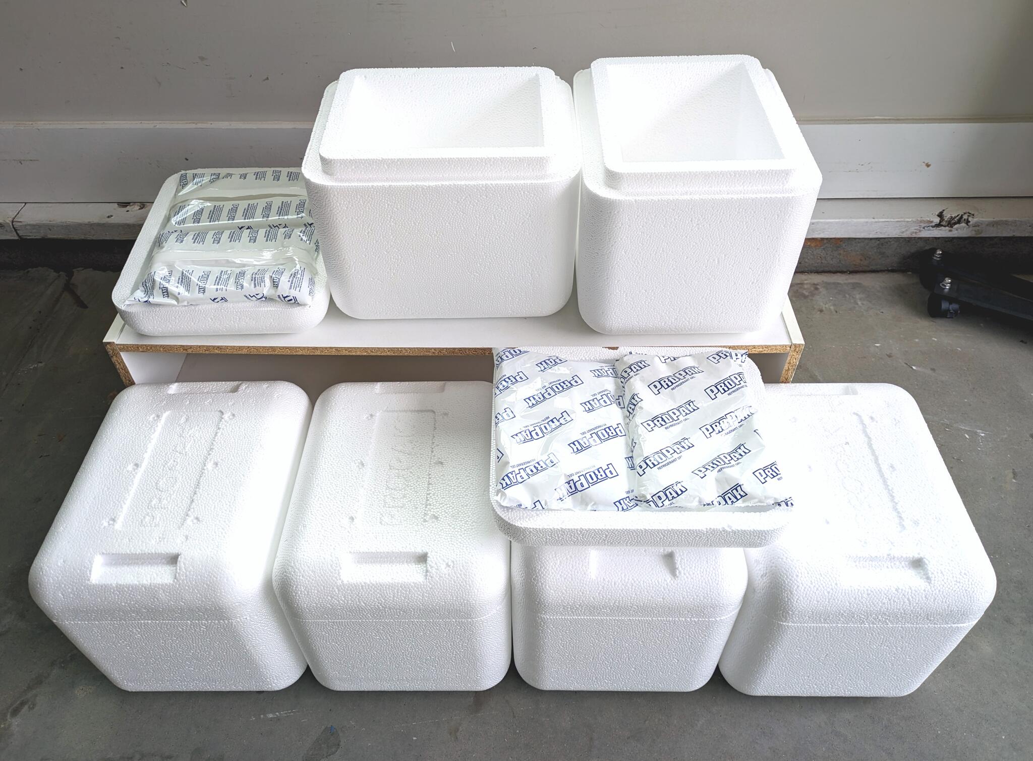Styrofoam Ice Chest Cooler with Ice Pack for Free in Taylors, SC For