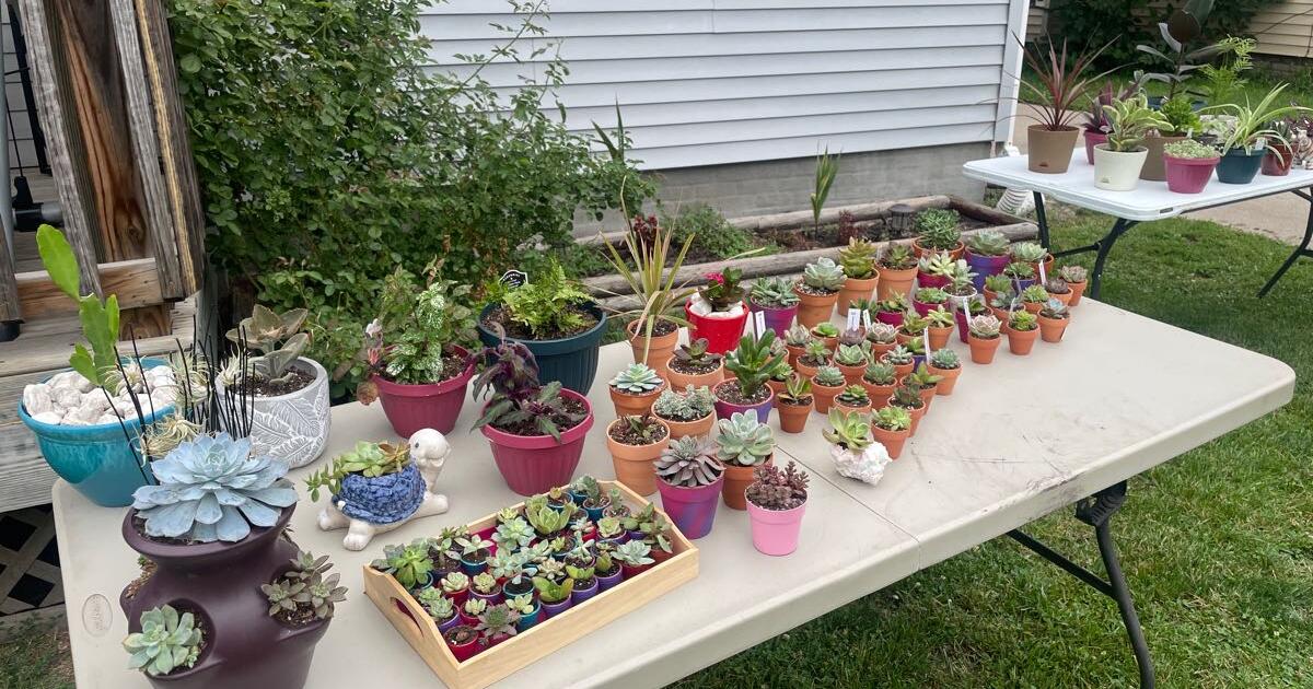 Plant and home decoration in Des Moines, IA Finds — Nextdoor