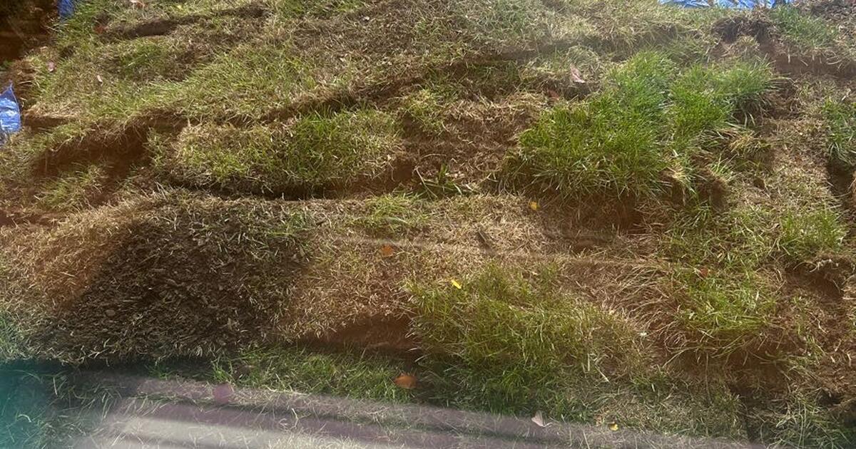 Free Sod for Free in Portland, OR Finds — Nextdoor