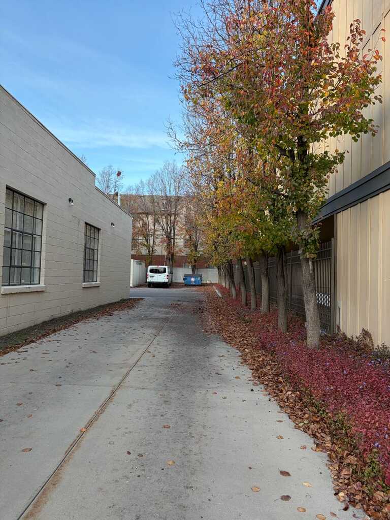 Hi neighbor we still doing fall cleaning if Anybody needs contact me a — 3