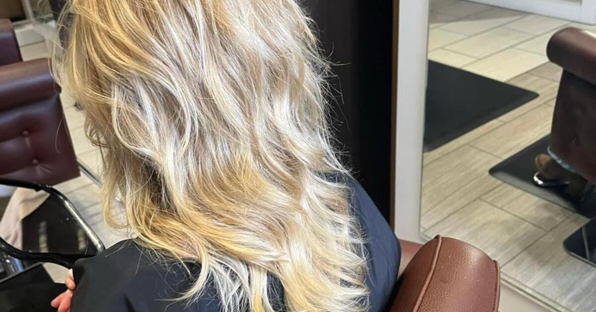 Blondes for $90 in Melbourne, FL | For Sale & Free — Nextdoor