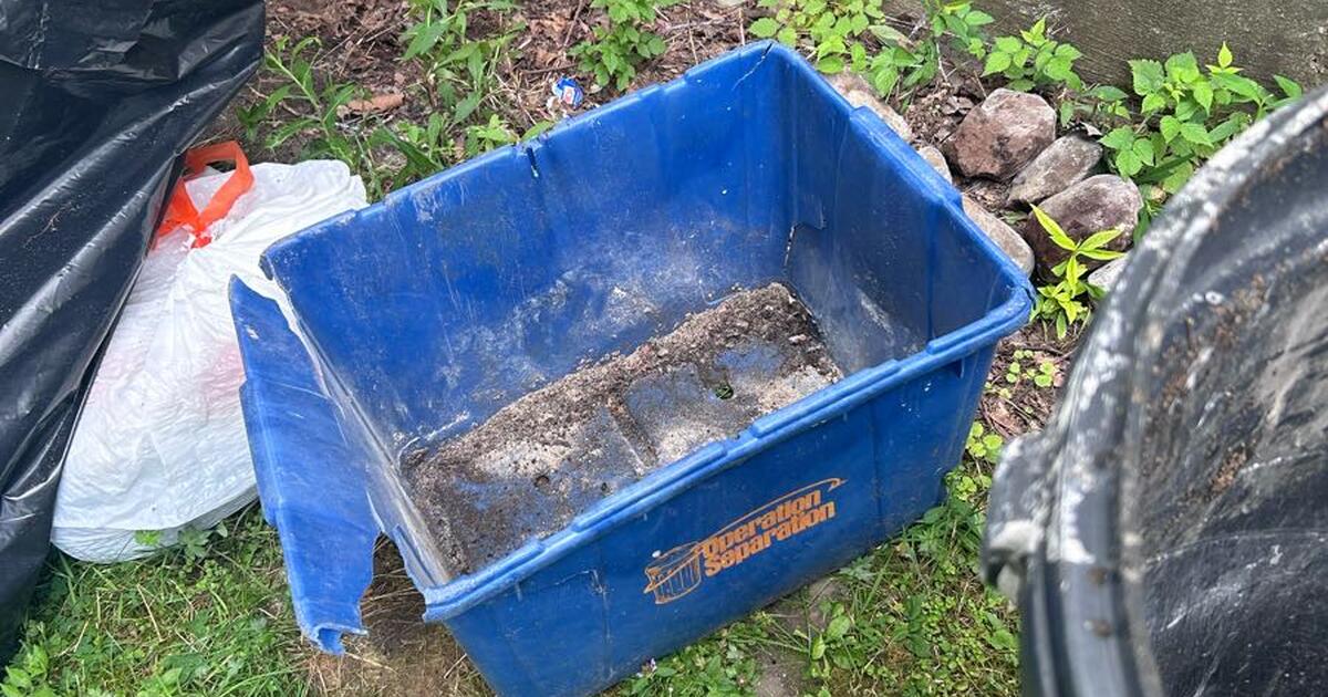 Free trash bin and recycling bin for free in syracuse ny for sale