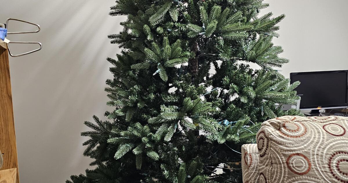 Christmas tree for Free in Lakewood, WA For Sale & Free — Nextdoor