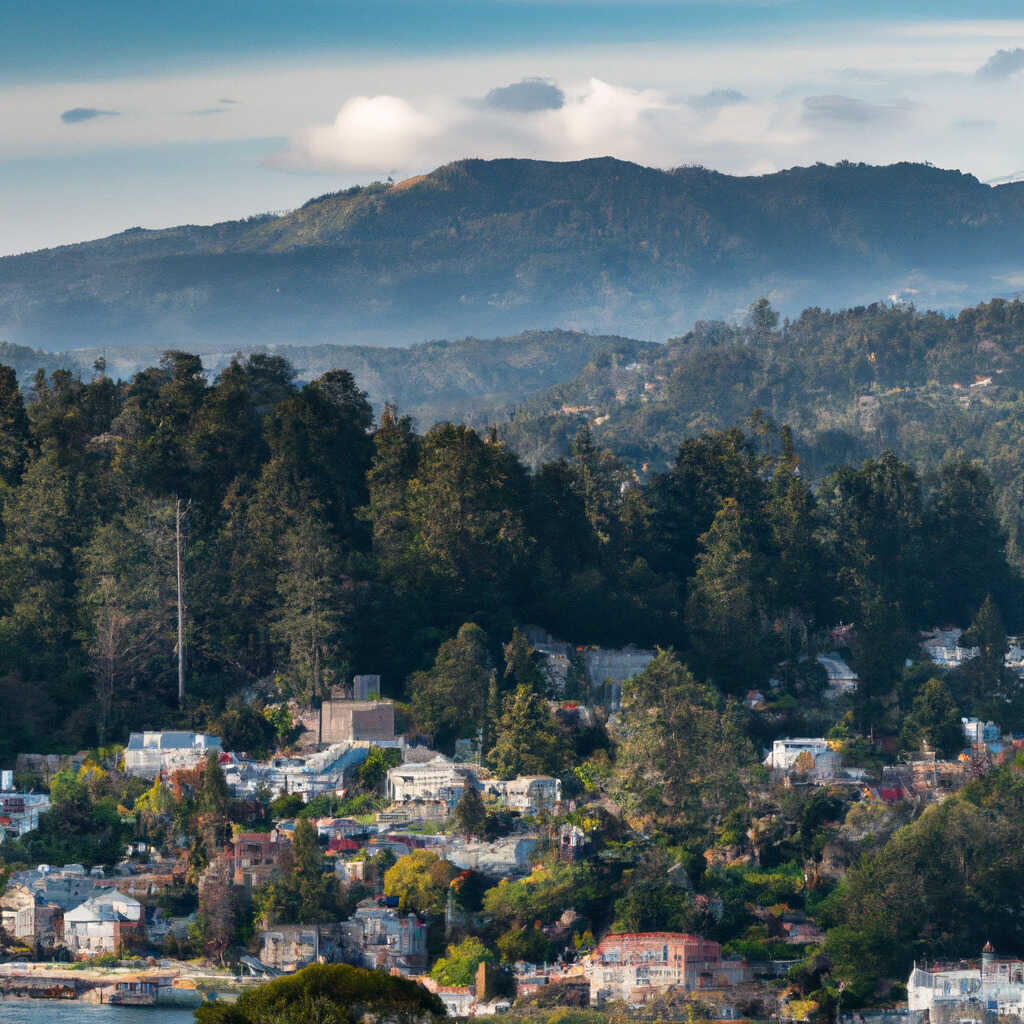 Northwood, Monte Rio News, Crime, Lost Pets, Free Stuff