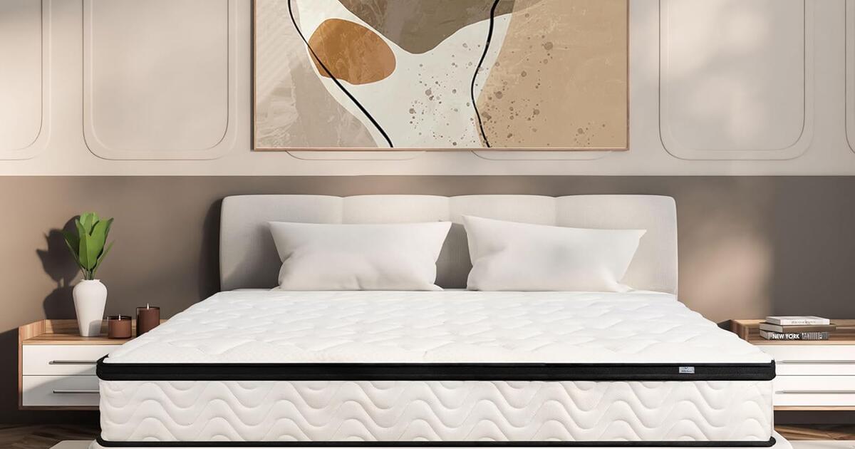 MOLBIUS Queen Mattress 10 Inch Queen Size Hybrid Mattresses in a Box