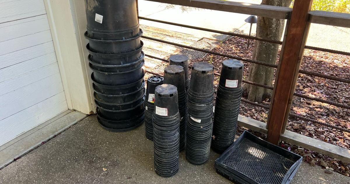 FREE Nursery Pots for Free in Napa, CA For Sale & Free — Nextdoor