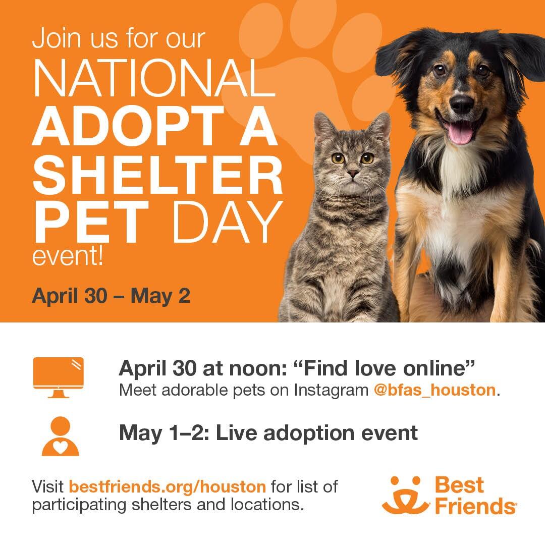 Adopt a Pet. National Shelter Pet Adoption Day is April 30! (City of Houston)  — Nextdoor — Nextdoor