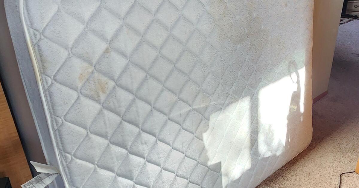 full sized mattress for loft/bunk bed for Free in Maple Grove, MN