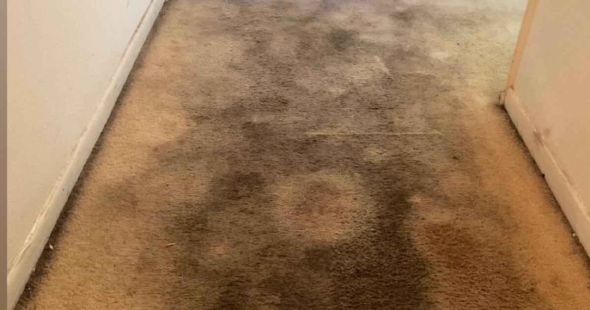 CARPET CLEANING ,need your carpet cleaned? for Free in Covina, CA For