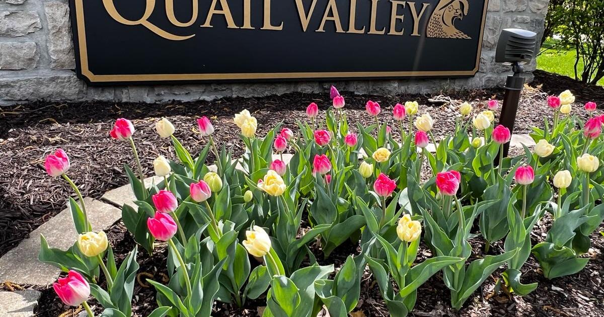 QUAIL VALLEY NEIGHBORHOOD GARAGE SALE for Free in Overland Park, KS