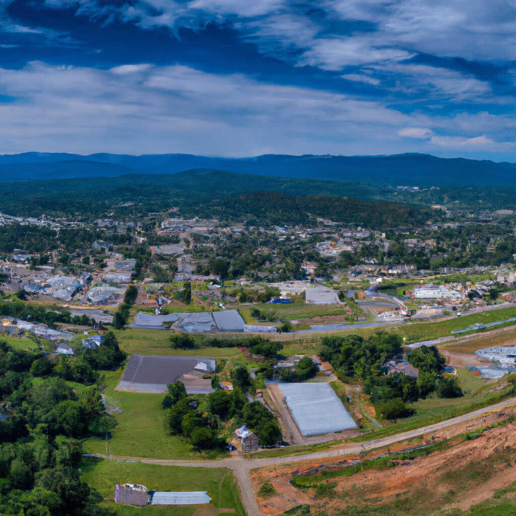 Toone, Toone News, Crime, Lost Pets, Free Stuff