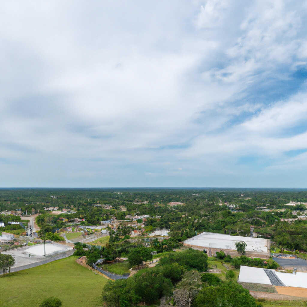 Segovia Down Ln, Spring Hill News, Crime, Lost Pets, Free Stuff