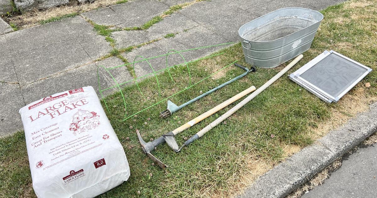 garden-items-on-parking-strip-3207-33rd-ave-s-for-free-in-seattle-wa