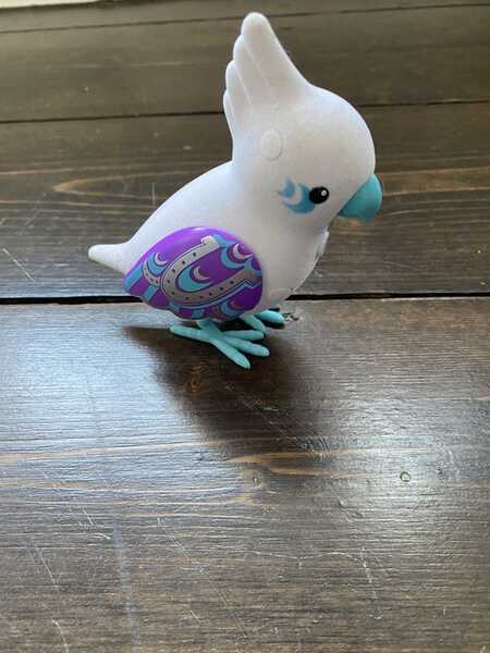 Little live sales pets singing birds