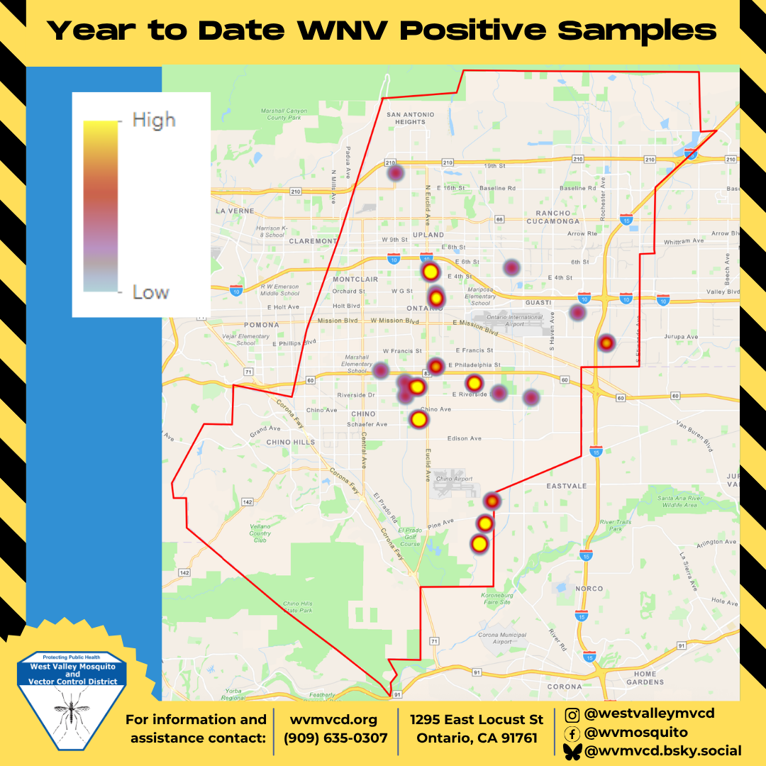 West Nile Virus Update: Four (4) positive mosquito samples were found ...