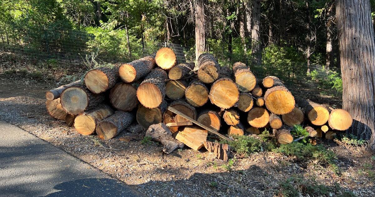 Firewood for Free in Pollock Pines, CA Finds — Nextdoor
