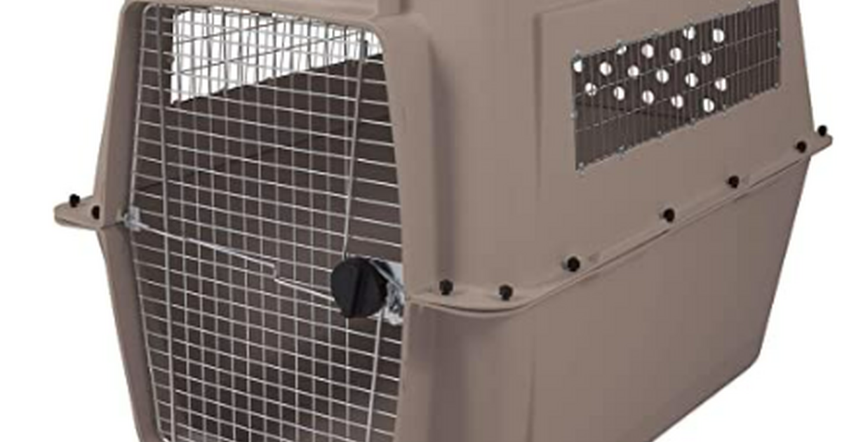 NEW!! Petmate Vari Kennel Plastic Dog Crate 90125 lbs for 150 in Mesa, AZ Finds — Nextdoor