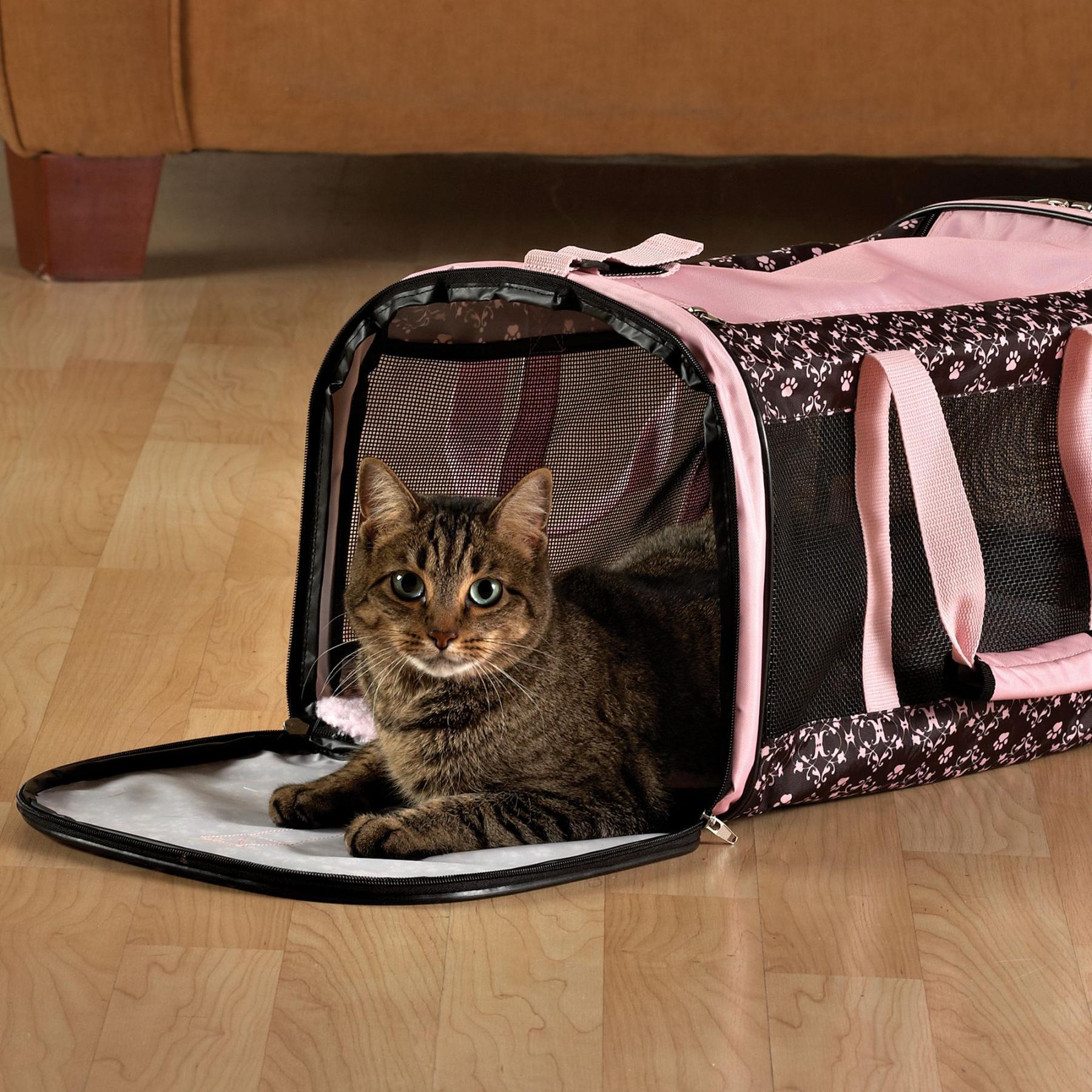 Soft sided cat carrier for Free in Chattanooga, TN For Sale & Free — Nextdoor