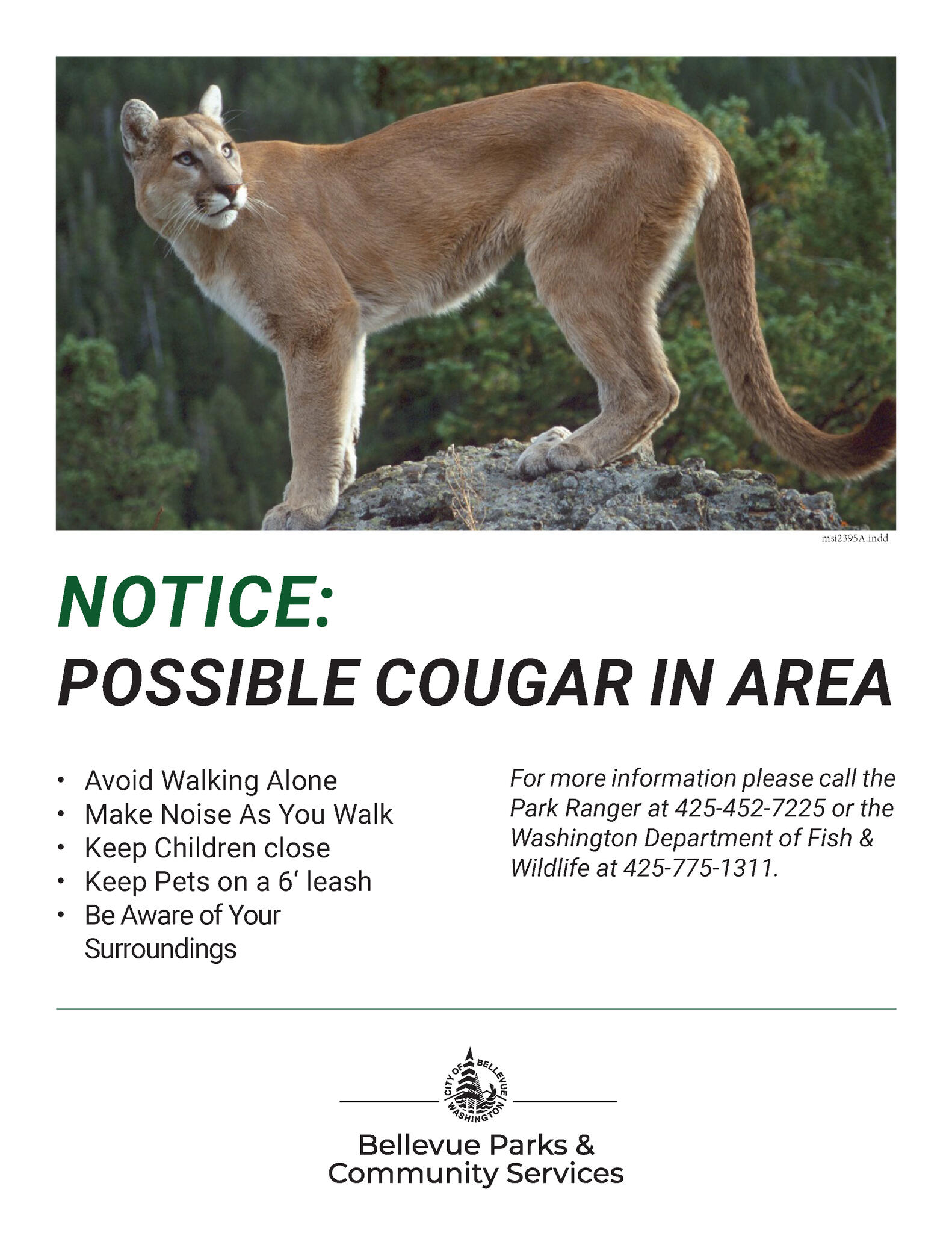 Cougar Spotted in Coal Creek Natural Area (City of Newcastle) —  Nextdoor — Nextdoor