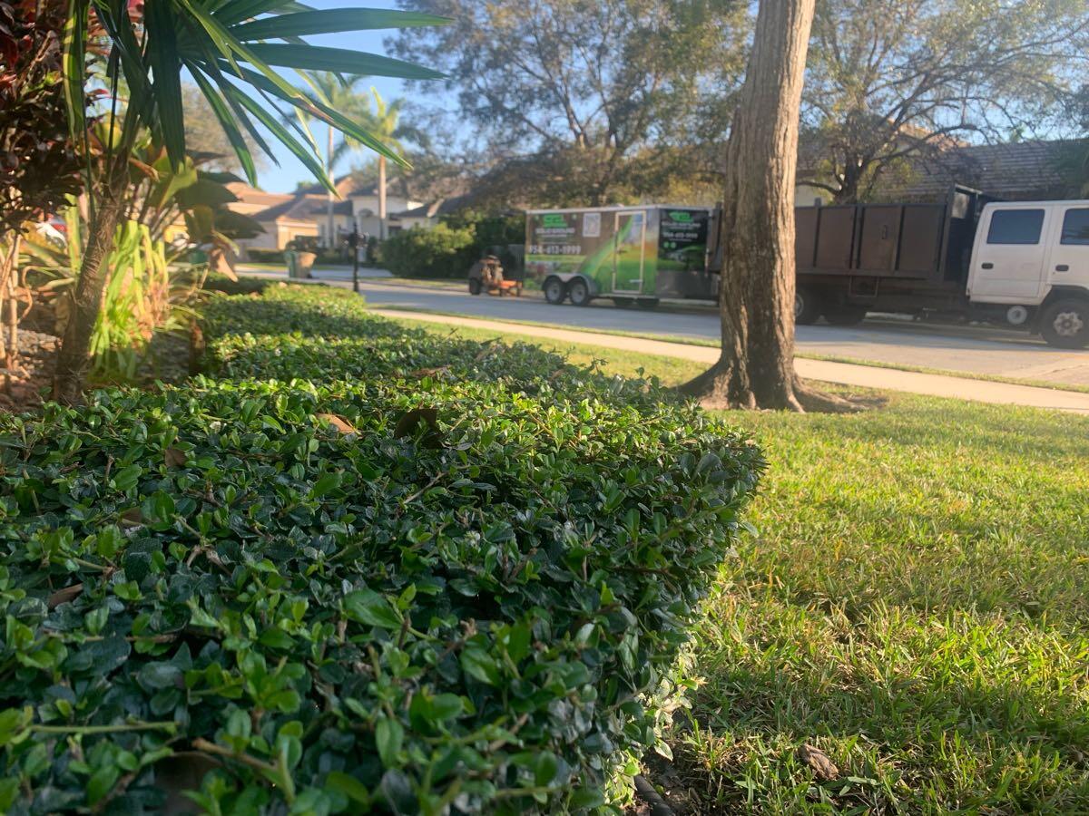Solid Ground Landscaping - Nextdoor