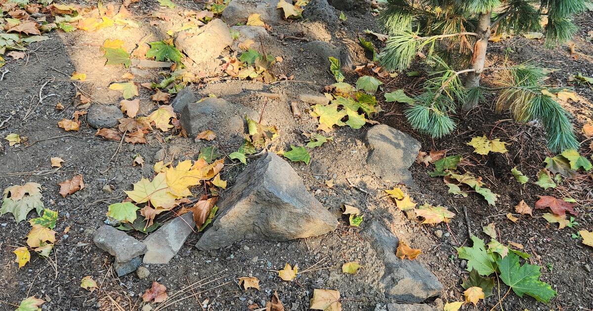 Free landscaping rocks for free in spokane wa for sale free nextdoor