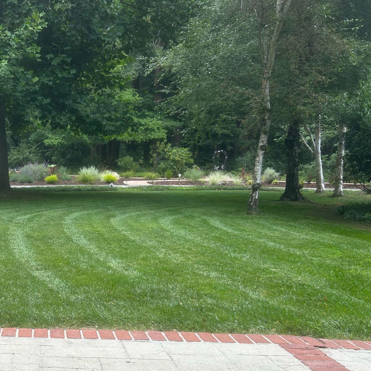Localized Grass Lawn maintenance with woods landscaping - Santa Cruz, CA - Nextdoor