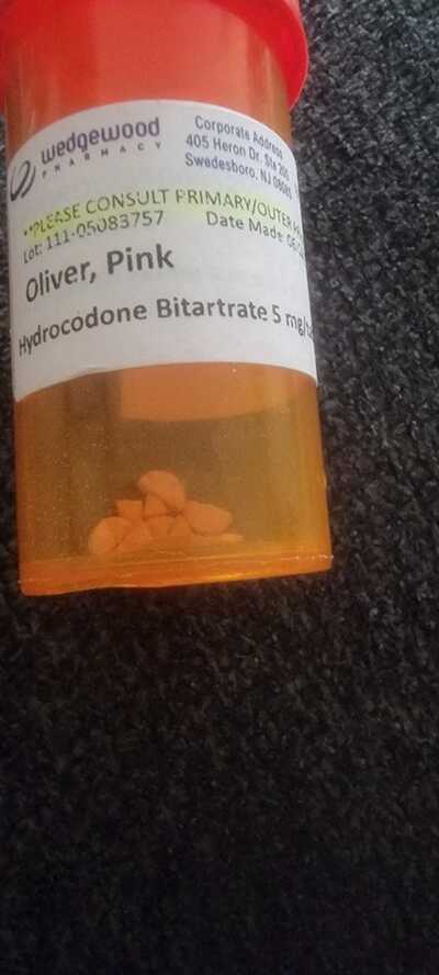 Topanga 2024 veterinary clinic