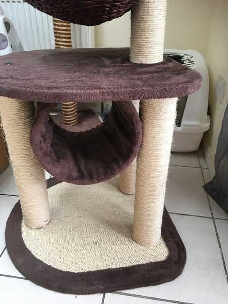Cat hot sale high sleeper
