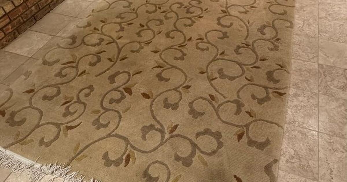 Neutral decor, oriental style rug 5’x8’ for Free in Edina, MN For Sale & Free — Nextdoor