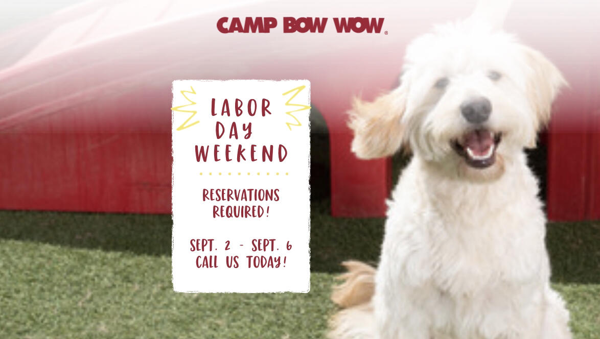 Call camp bow outlet wow