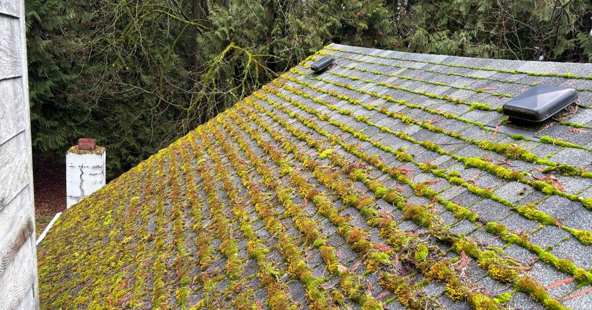 Roof moss removal for Free in Port Townsend, WA For Sale & Free