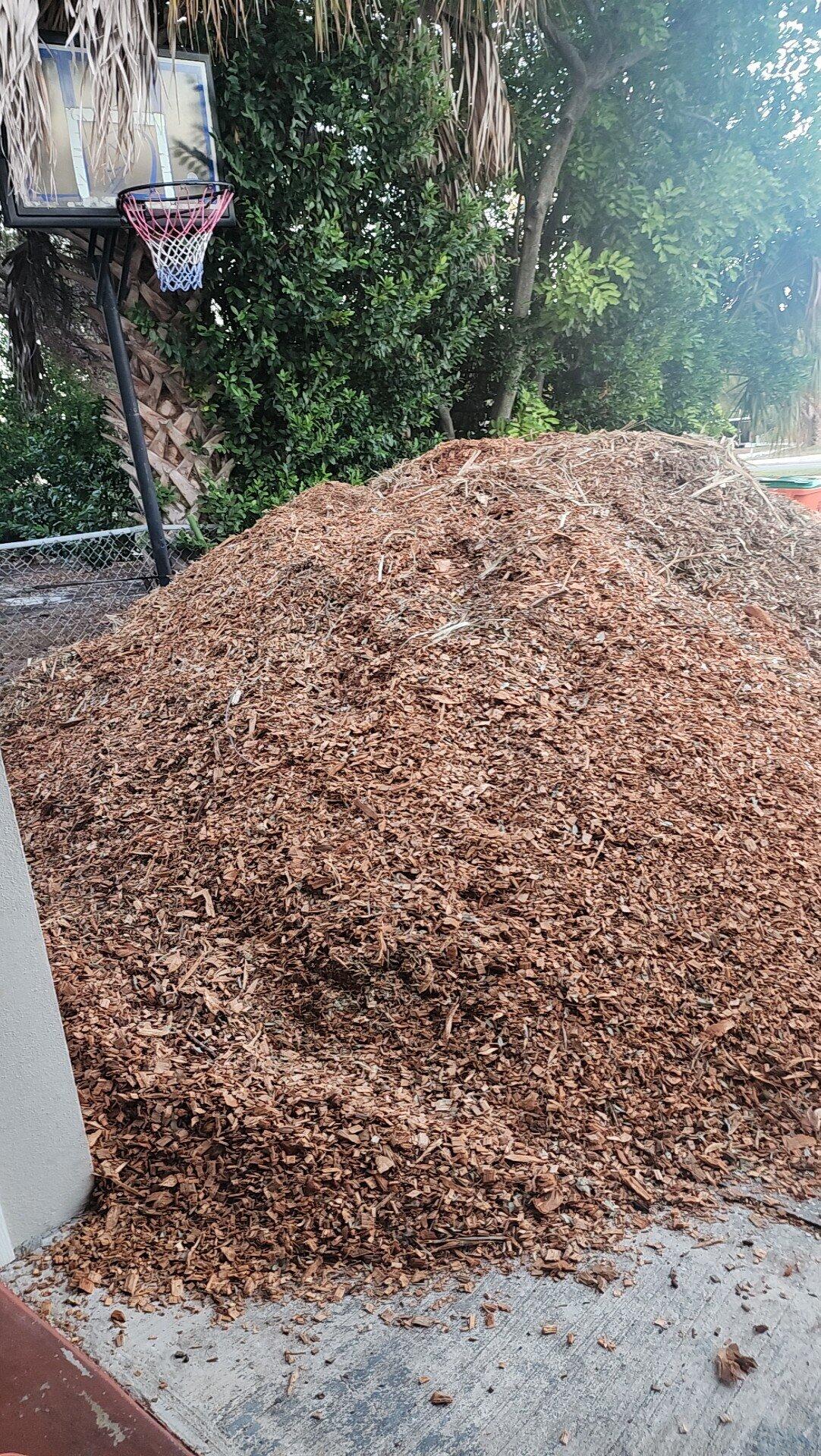 Free Mulch for Free in Seminole, FL For Sale & Free — Nextdoor