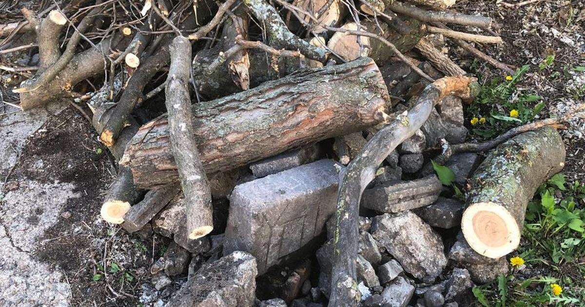 Free Firewood, Rocks/Bricks, & Apricot Tree!! for Free in Minneapolis ...