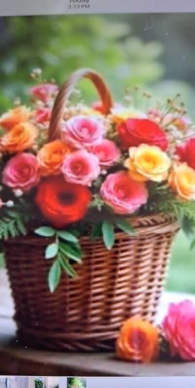 Diamond Bell Ranch, Tucson | Everything You Need to Know