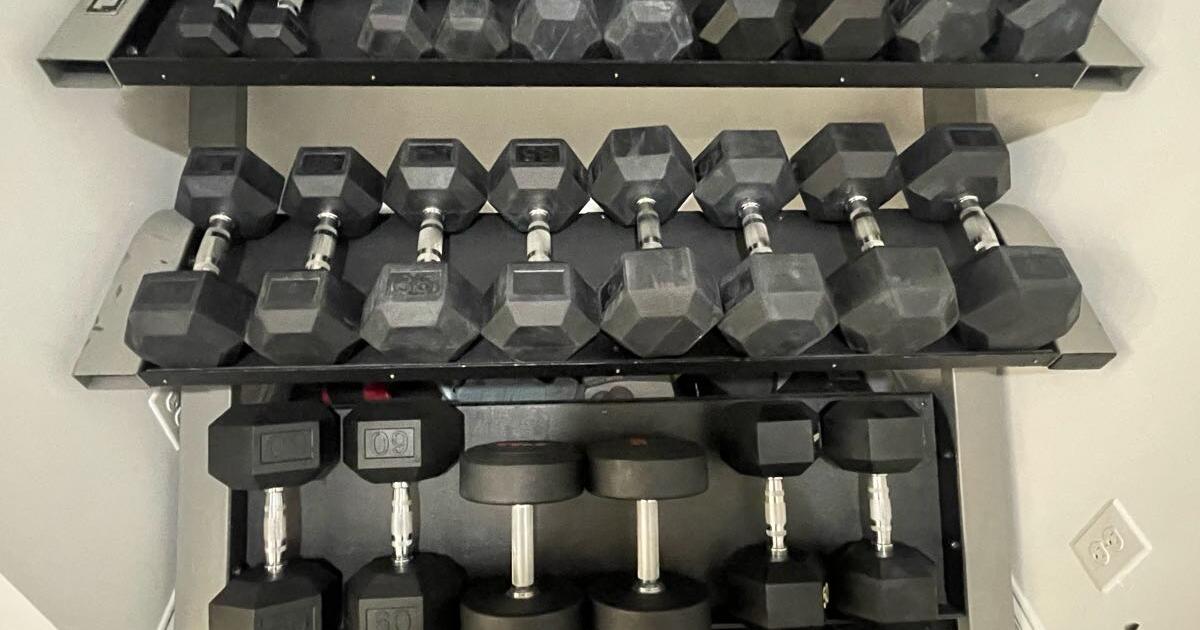 Dumbbells and Rack for 500 in Raleigh, NC For Sale & Free — Nextdoor