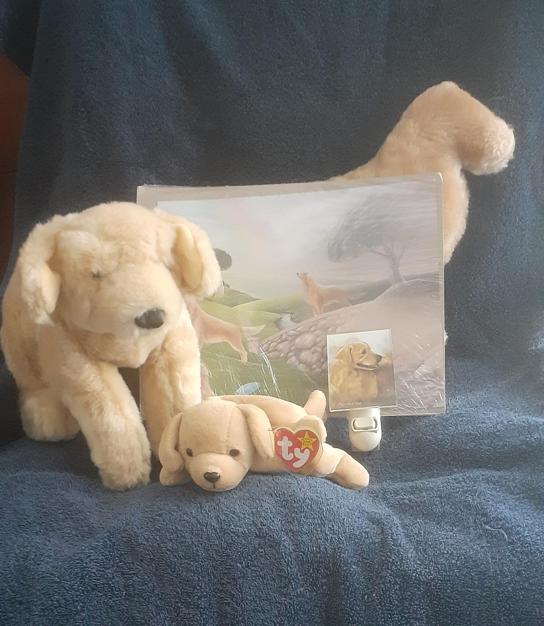 Golden Retriever Plush Toys and Picture Set