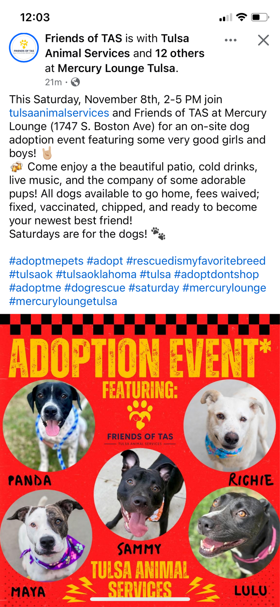 Tulsa, OK News, Crime, Lost Pets, Free Stuff