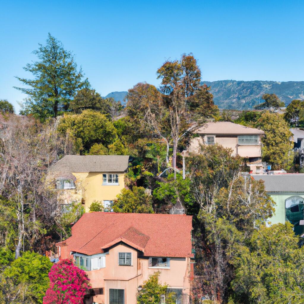 Santa San Rafael News, Crime, Lost Pets, Free Stuff