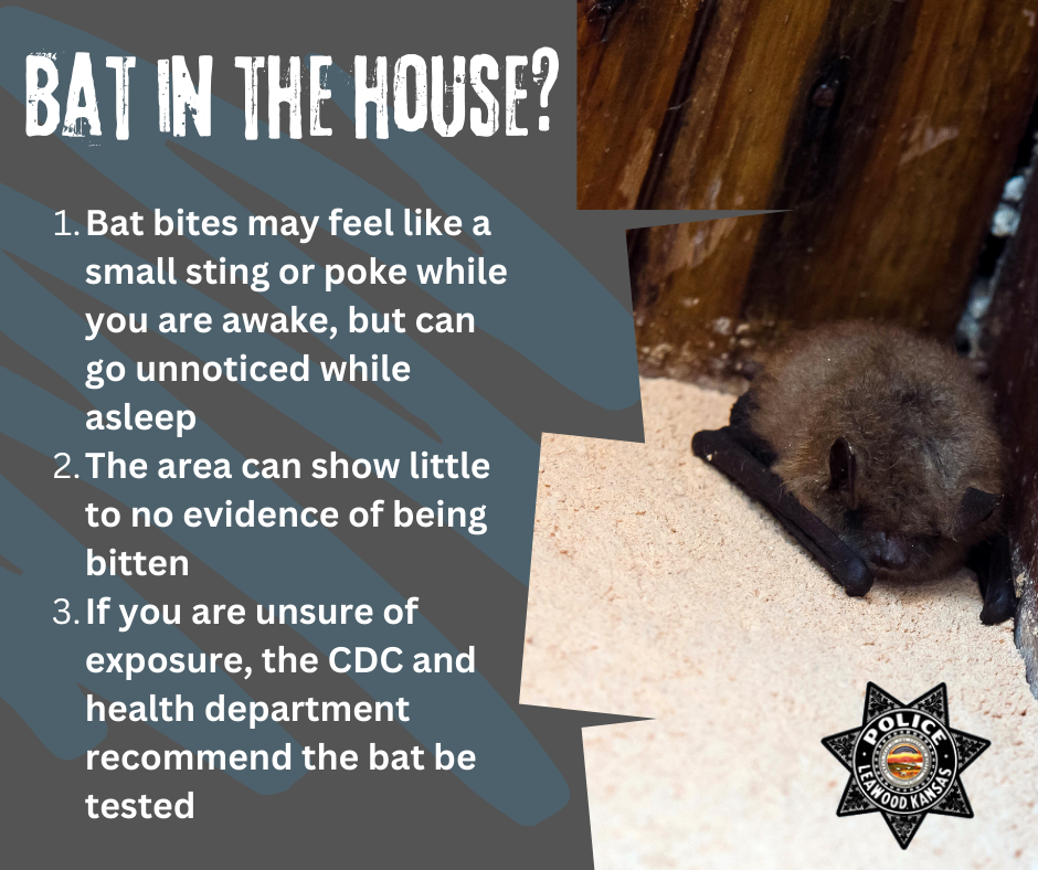 Recently, Leawood PD has responded to several calls of bats located