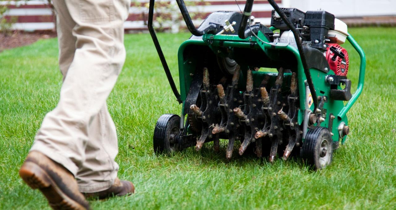 Core aerator opening compacted turf during fall lawn care for a Park City Utah property