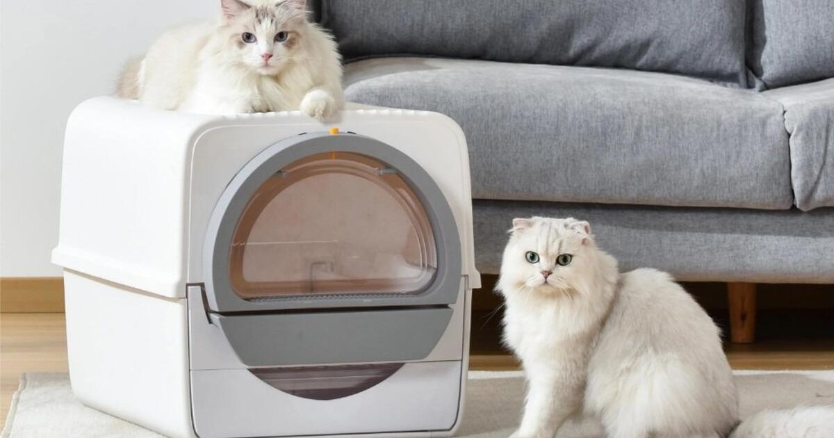 pull-and-scoop-litter-box-for-105-in-san-diego-ca-for-sale-free