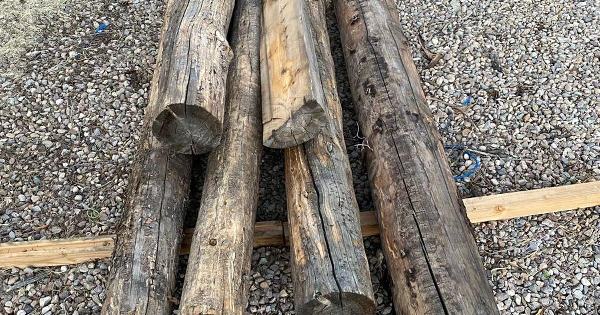 Lodgepole Pine Logs for 75 in Green Valley, AZ For Sale & Free